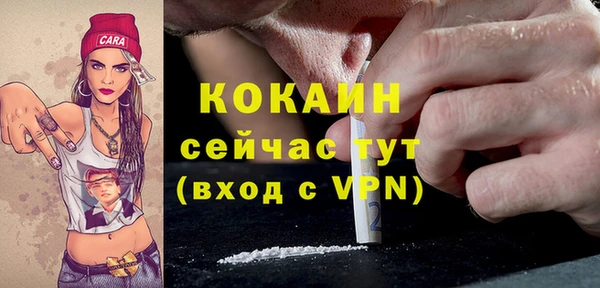 дмт Снежинск