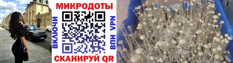 Галлюциногенные грибы Magic Shrooms  закладка  Кудрово 